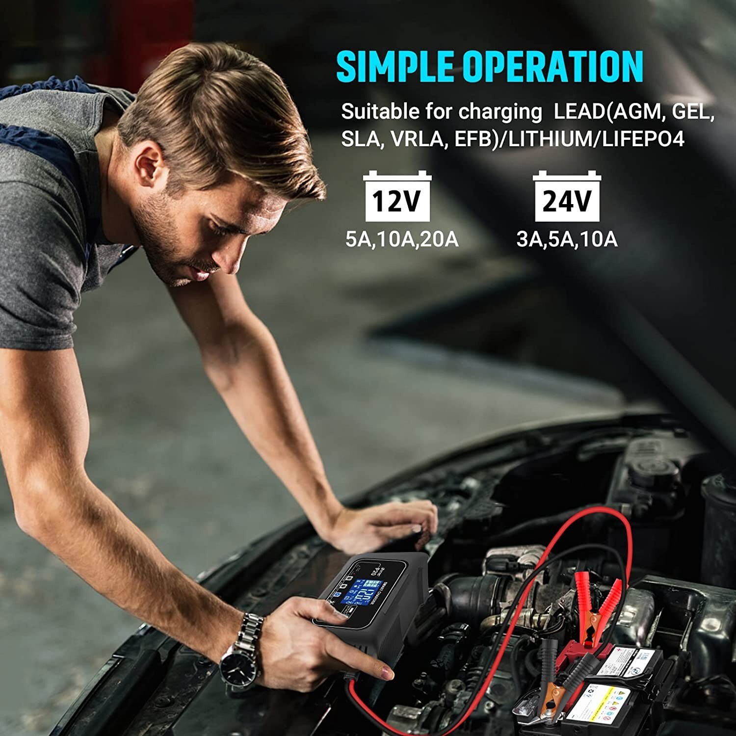 20-Amp Smart Battery Charger,12V/20A and 24V/10A.Lithium,Lifepo4,Lead-Acid(AGM/G