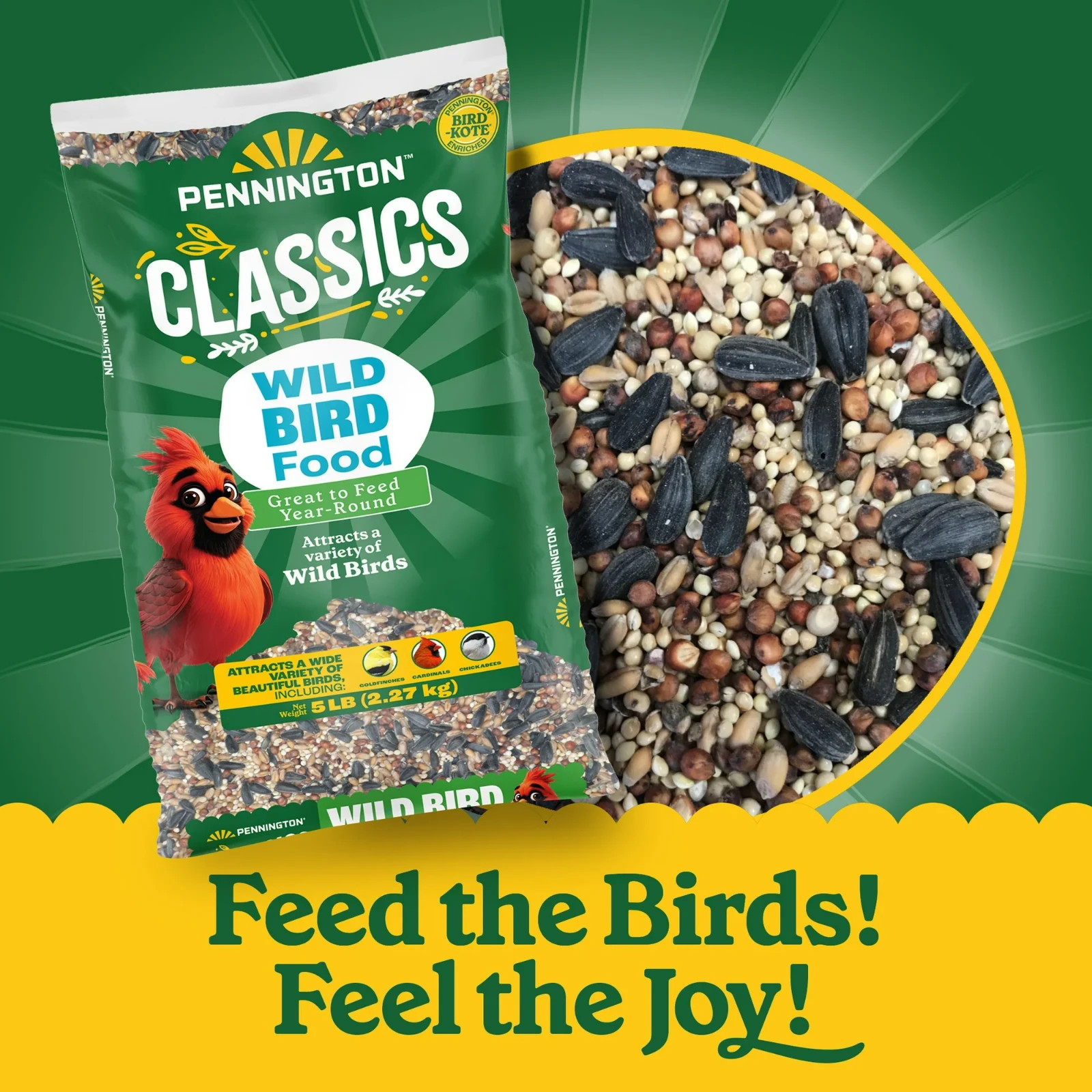 Pennington Classic Dry Wild Bird Feed and Wild Bird Seed, 5 lb. Bag, 1 Pack
