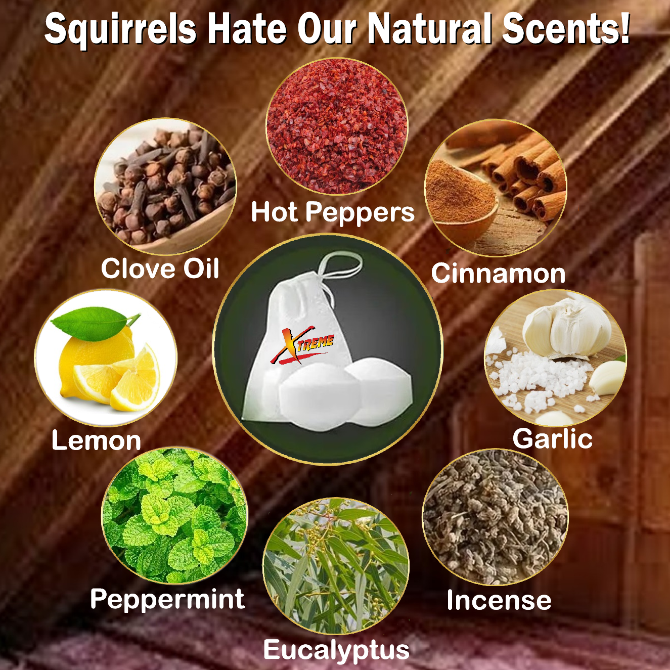 NEW! Attic Squirrel Repellent. DRIVES SQUIRRELS OUT FAST! 5 PK