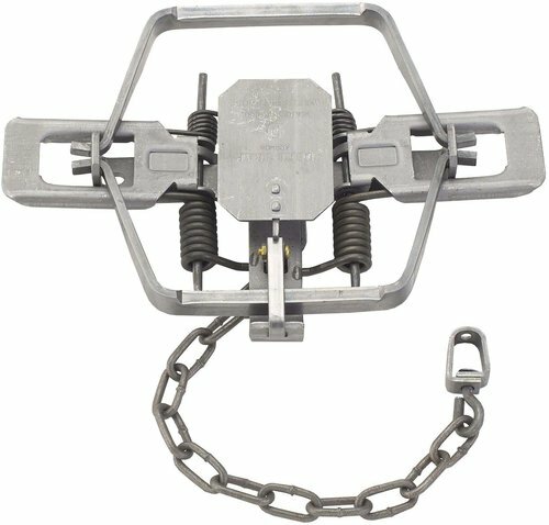 2 New Duke # 4 OFFSET 4X4 Coil Spring Traps 0503 Bobcat Coyote Lynx Trapping