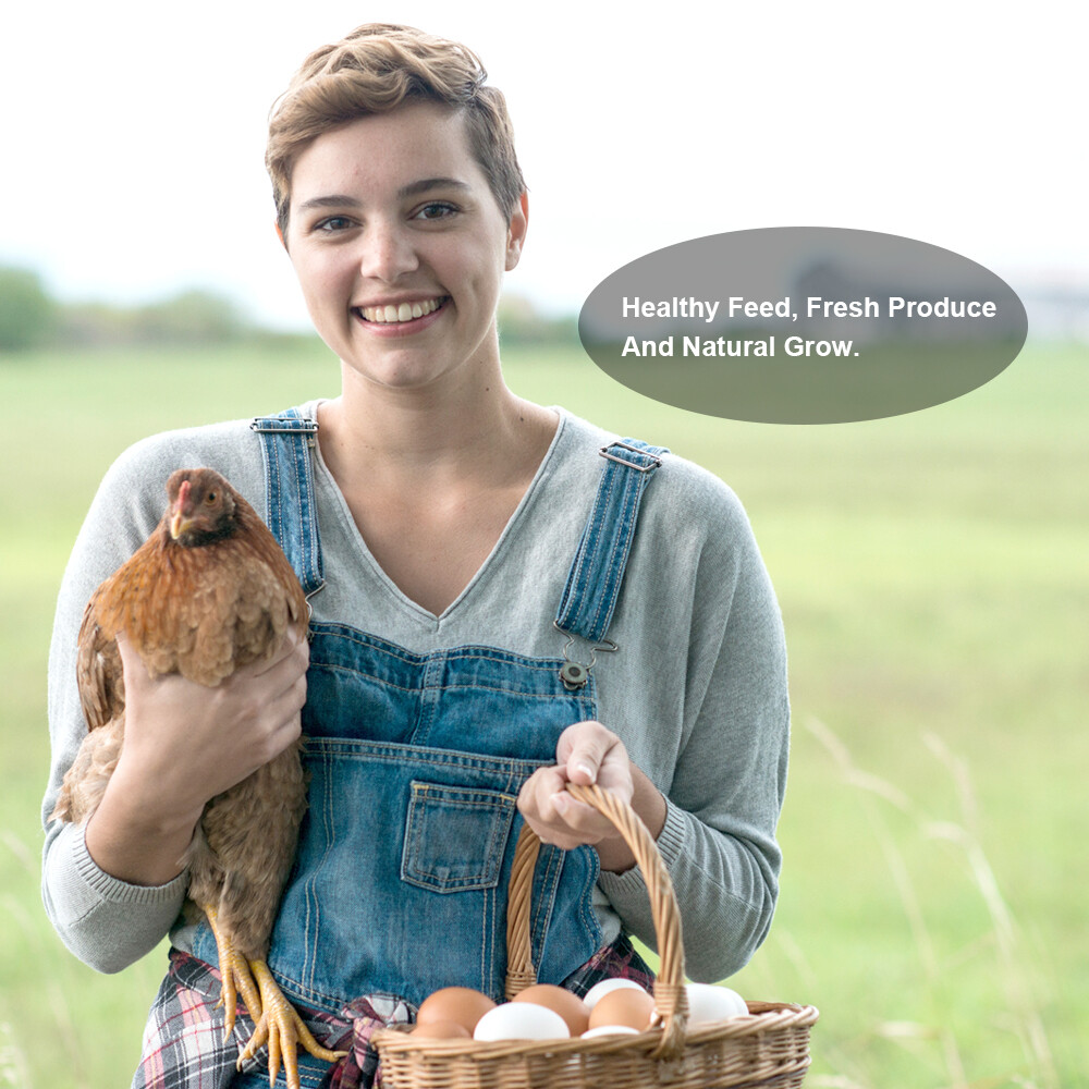 22LB Dried Mealworms Bulk Non-GMO Organic for Wild Blue Bird Chickens Hen Treats