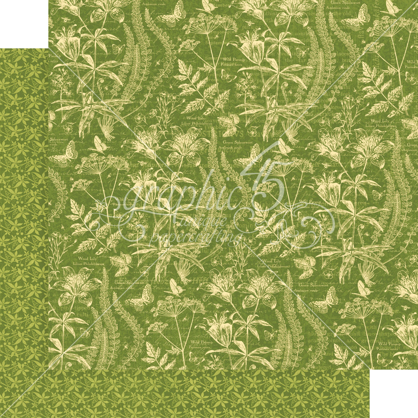 GRAPHIC 45 NATURE NOTEBOOK RETIRED 2020 ~NATURE BOTANICAL BUTTERFLY *SHIPS FREE*