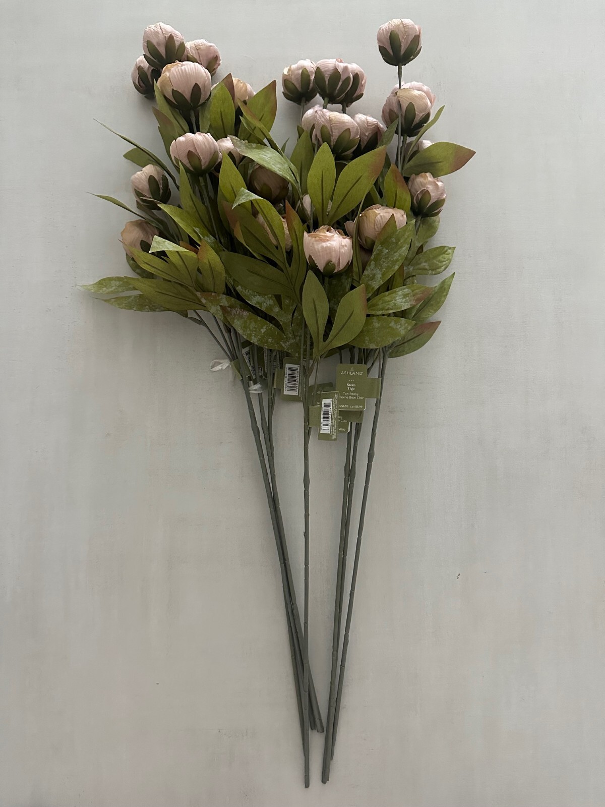 BRAND NEW MICHAELS STORES TAN PEONY STEMS BY ASHLAND 8 STEMS VIRAL RARE!