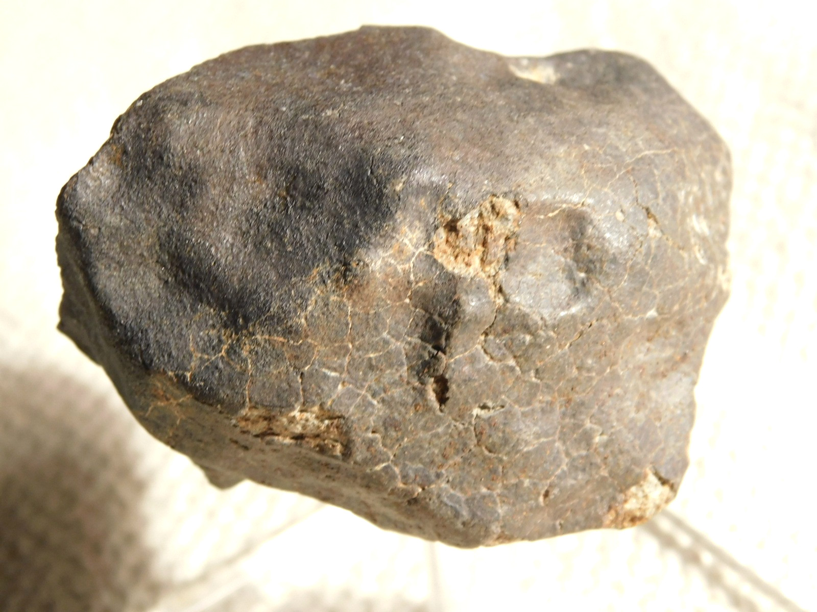 H6 Stony METEORITE Regmaglypts DARK Fusion Crust and Contraction CRACKS! 178gr