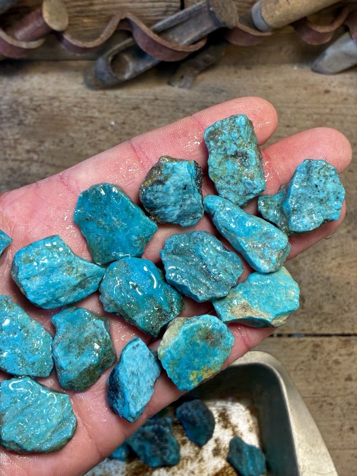 1 Lb. Ithaca Peak, Real Turquoise! Electric blues! High in matrix. ❤️‍🔥3 Left!