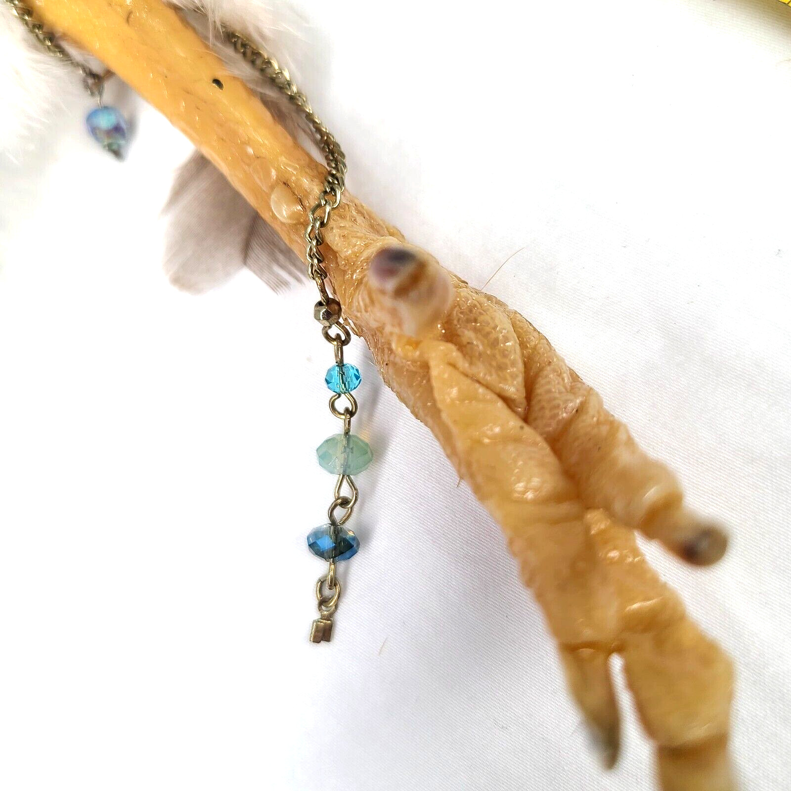 Good Luck Charm Lucky Charm Chicken Foot Voodoo Protection Occult Items Oddity