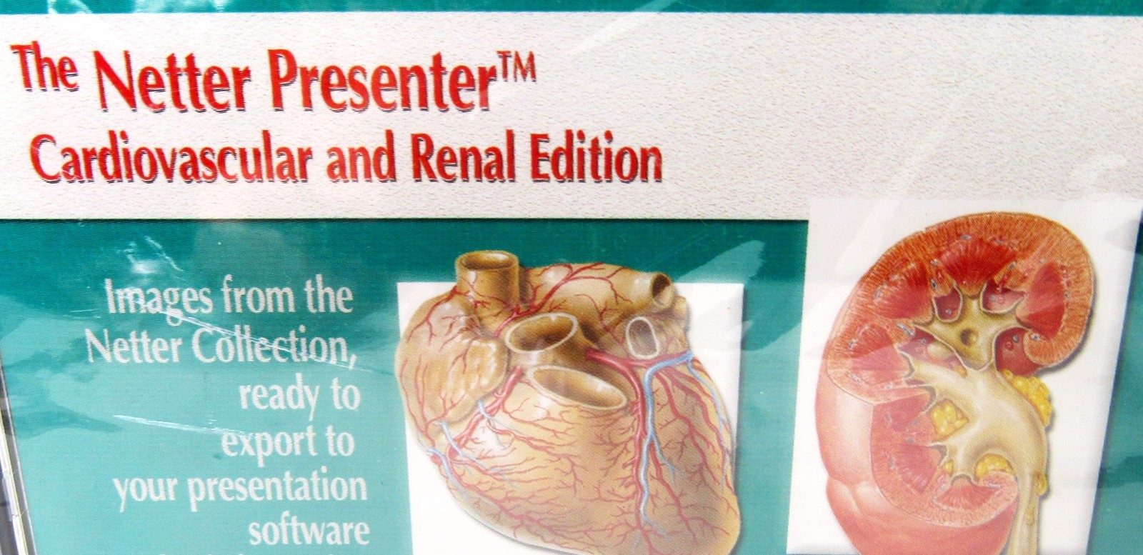 Cardiovascular Renal Edition Netter Medical Education CD-ROM Vintage New Sealed