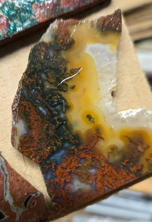 Assorted Agates and Misc., Trimmed Cabochon Slabs Preforms 10 Pcs, Flat 120