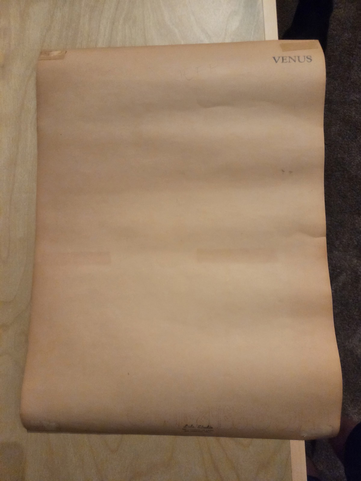 Big Brother Janis Ark Sausalito Poster AOR 2.309 1967 2nd Print RP-2 BG FD