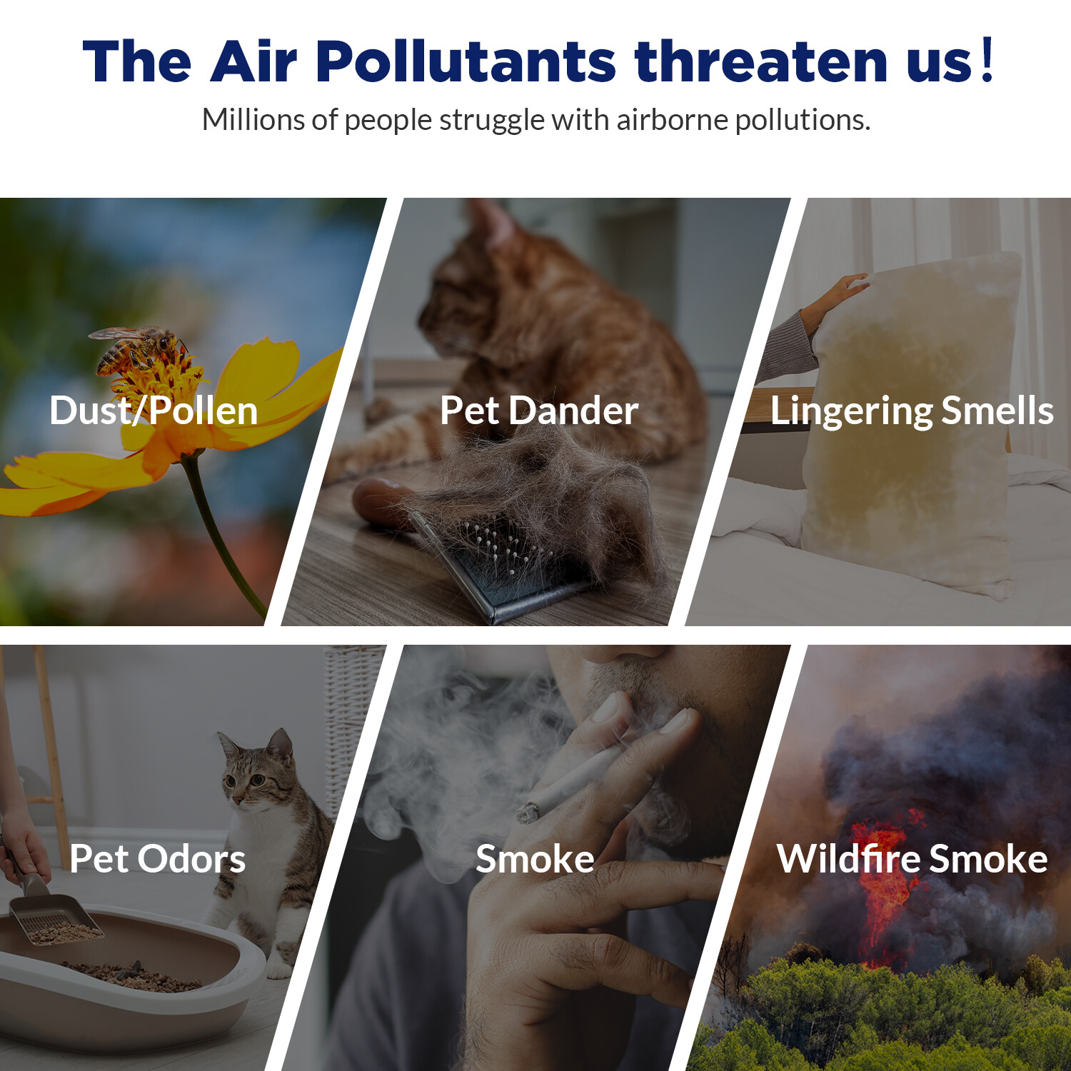 Home True HEPA Air Purifier Large Room Air Cleaner for Allergies Smoker Pet Dust