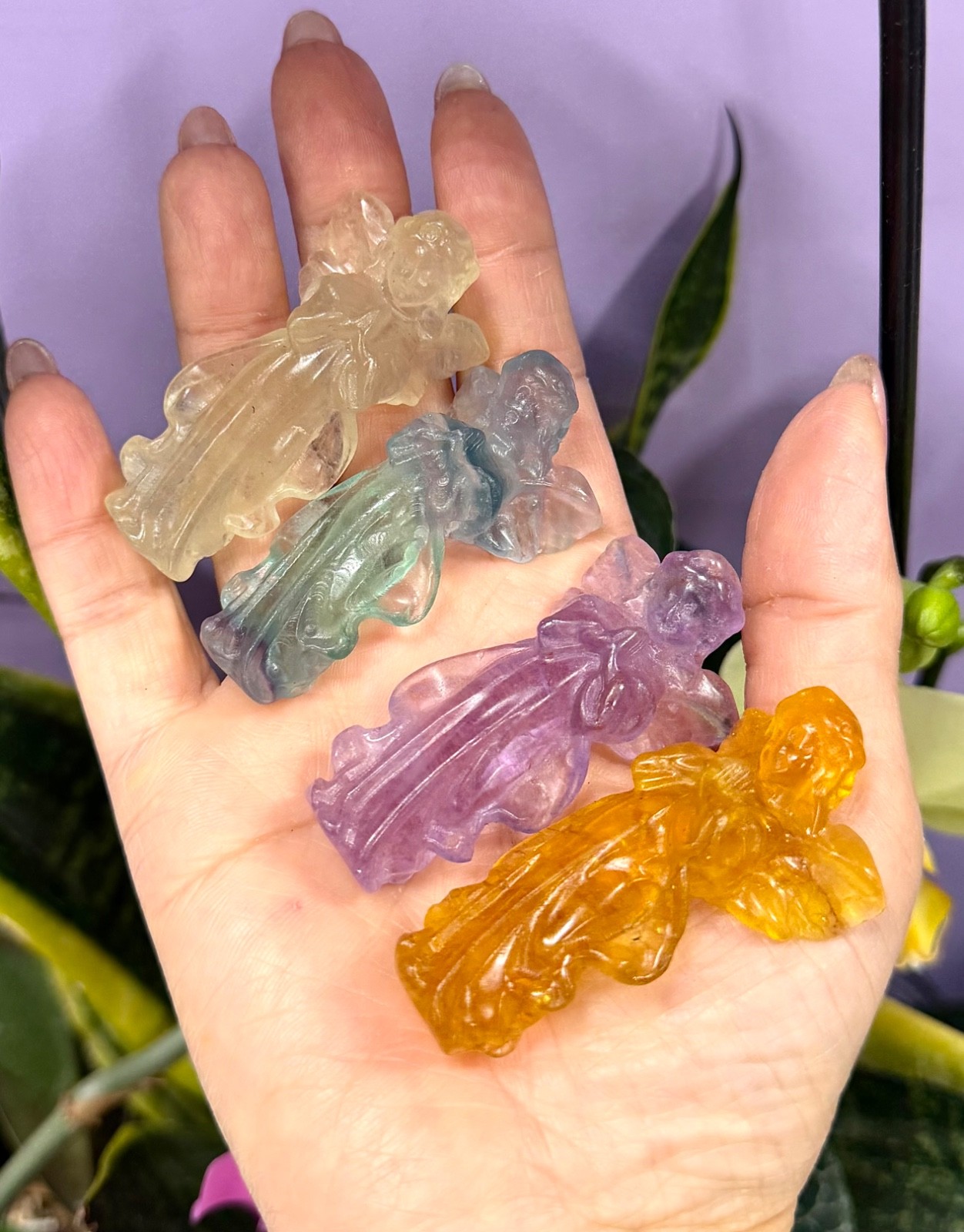 Wholesale Lot 6 Pcs Natural Fluorite Angels 7cm crystal Healing Energy