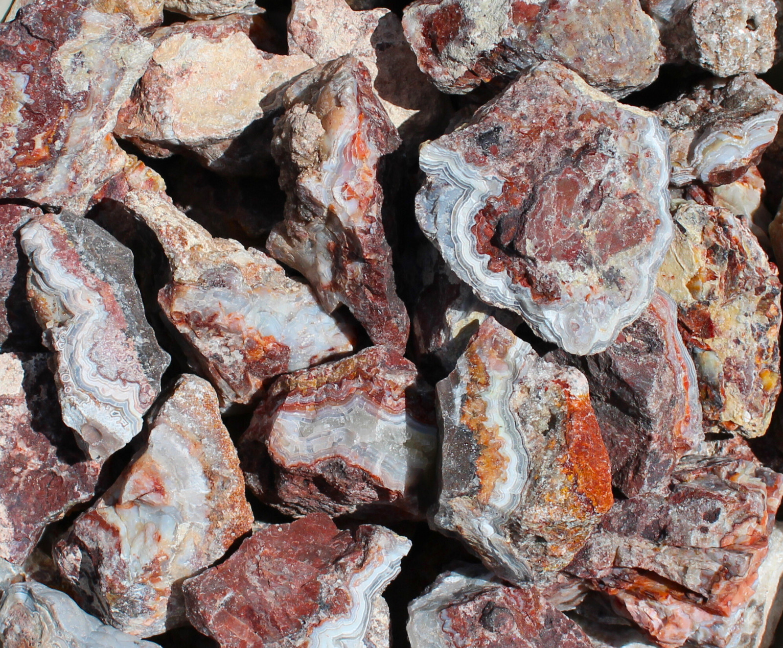 Mexican Lace Agate - Rough Rocks for Tumbling from Mexico - Bulk Wholesale