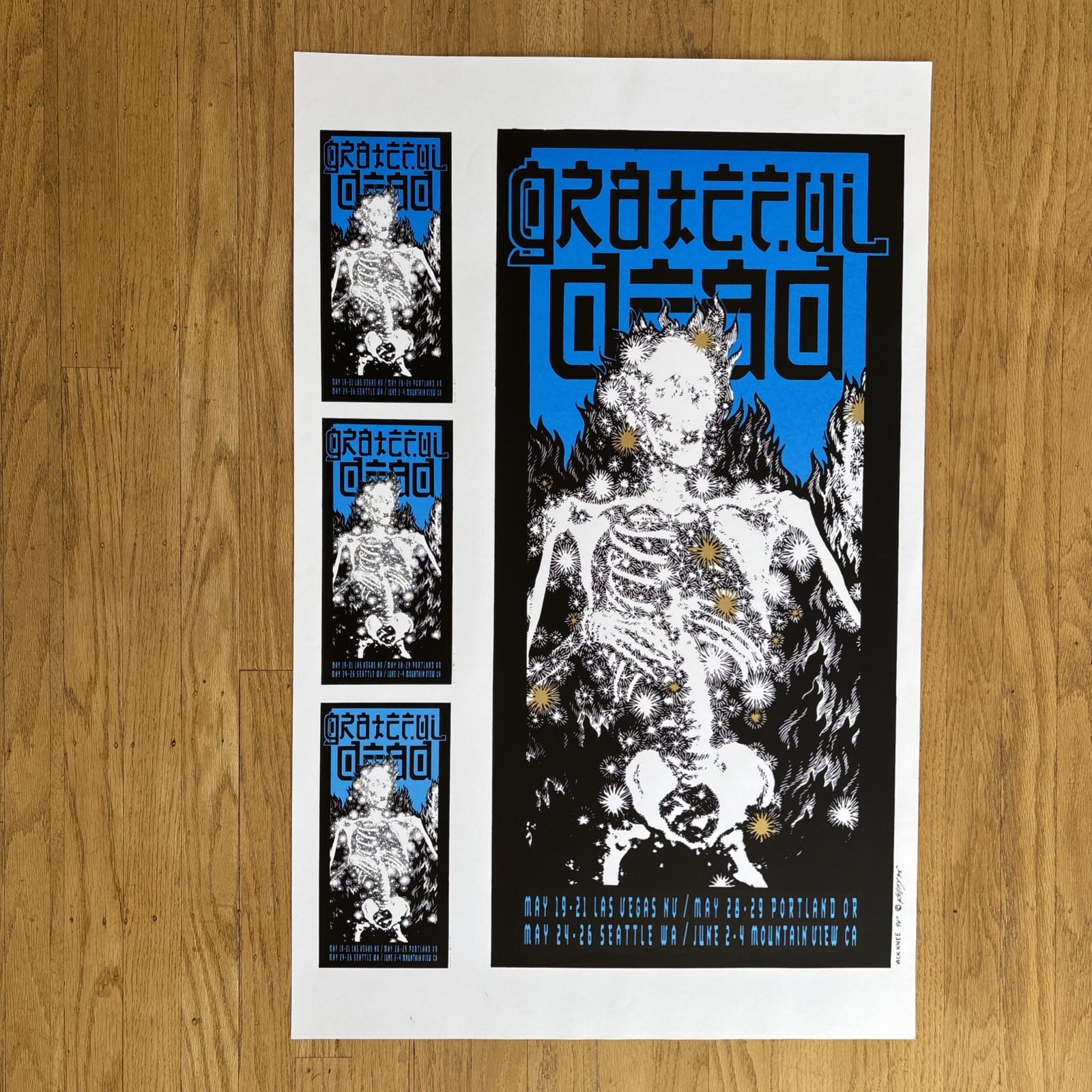 Grateful Dead 1995 Alton Kelley Uncut Variant 4 Venues