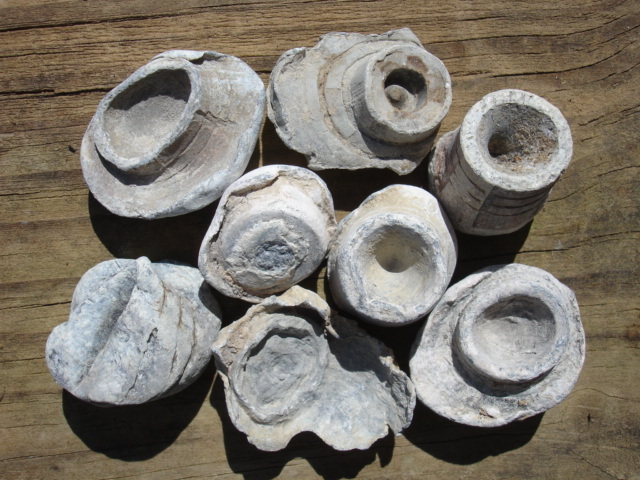 Civil War Relic Direct Hit Bullseye Mushroomed Bullet Chattanooga, Tennessee