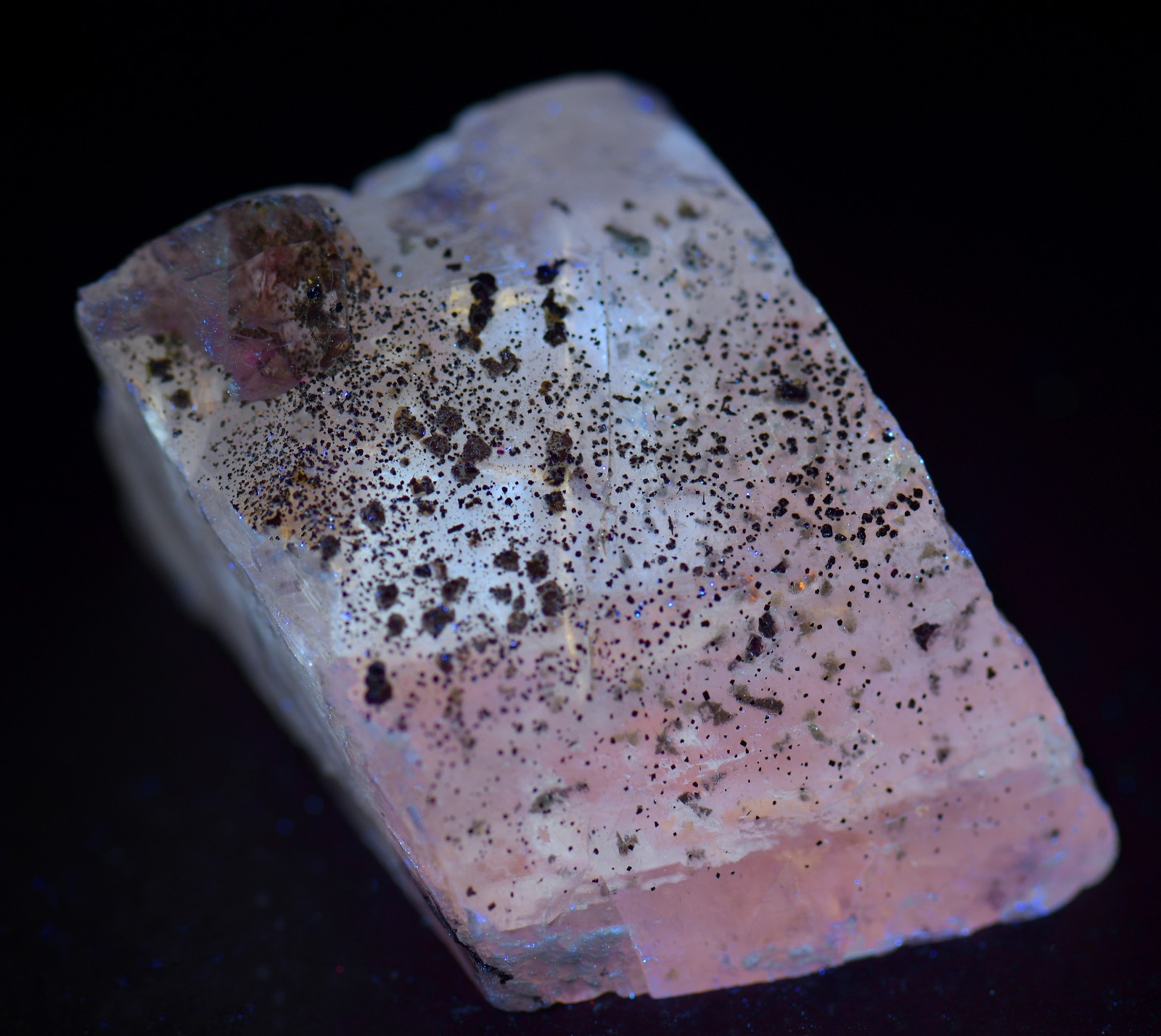 Calcite crystal with Pyrite crystals, fluorescent. Klein Quarry, Iowa. 45 grams.