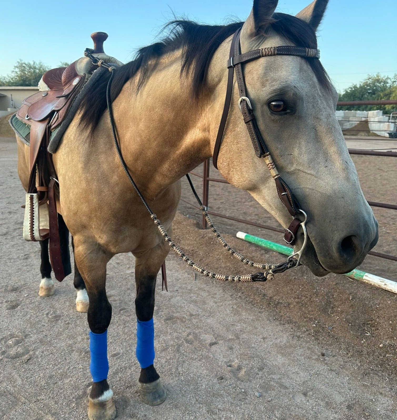 Romal Reins Dark Chocolate Brown, 10 Plaits Romel Reins, 45" Romel Reins.