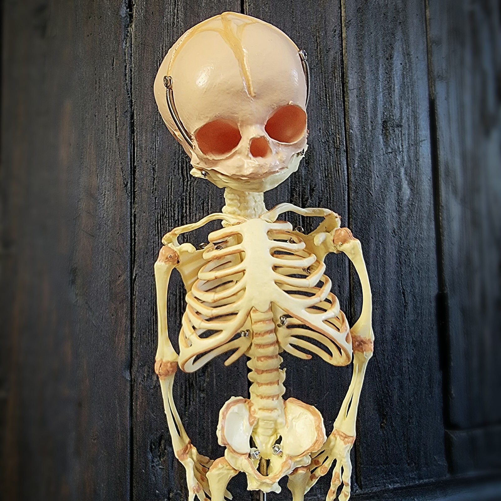 Fetal Skeleton Replica, Life Size Anatomical Fetus Skeleton Model, Oddities