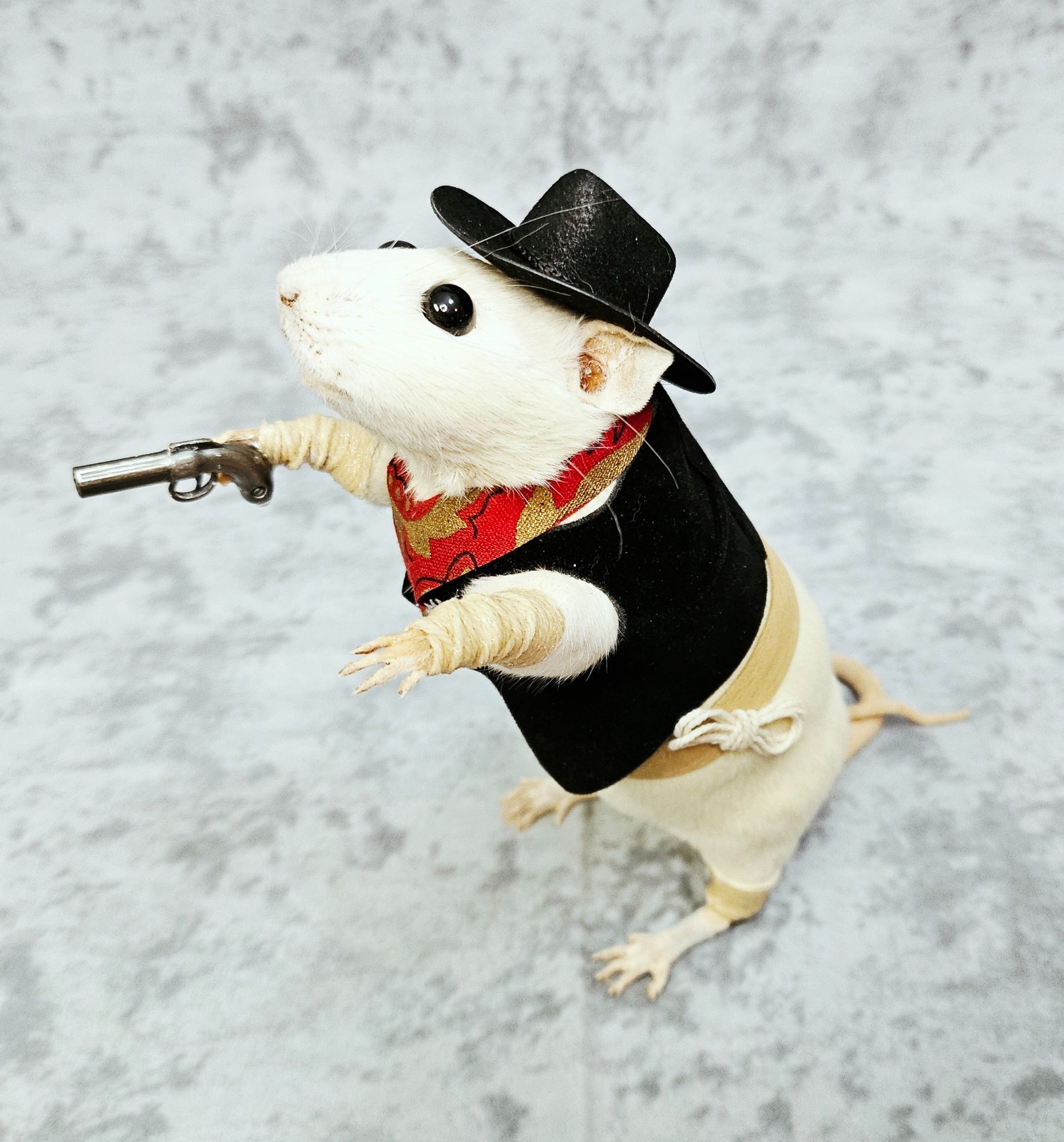 Rat Taxidermy Cowboy Sheriff Rat