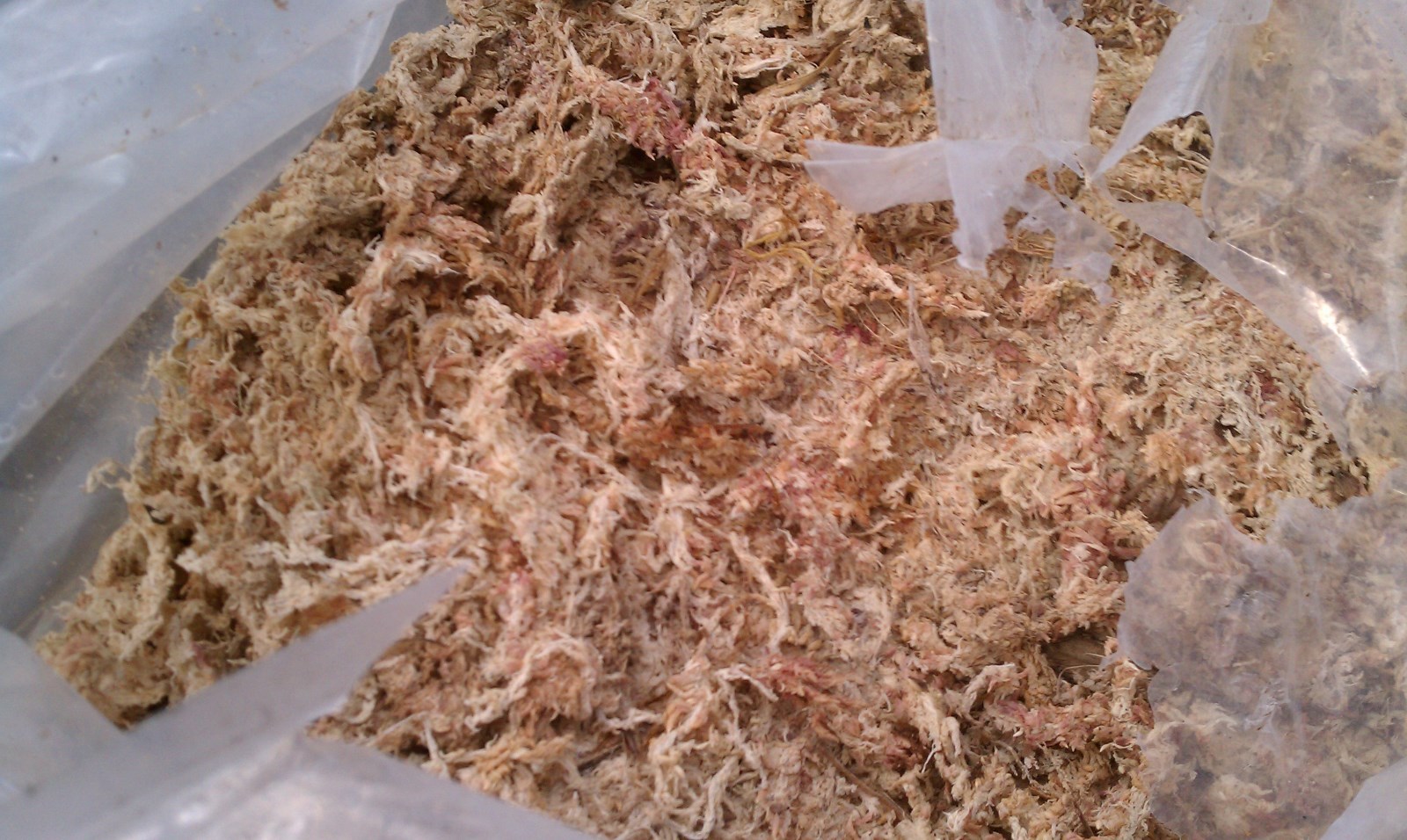 Peruvian Sphagnum Moss, 5 Kg/11 lb, extreme water holding