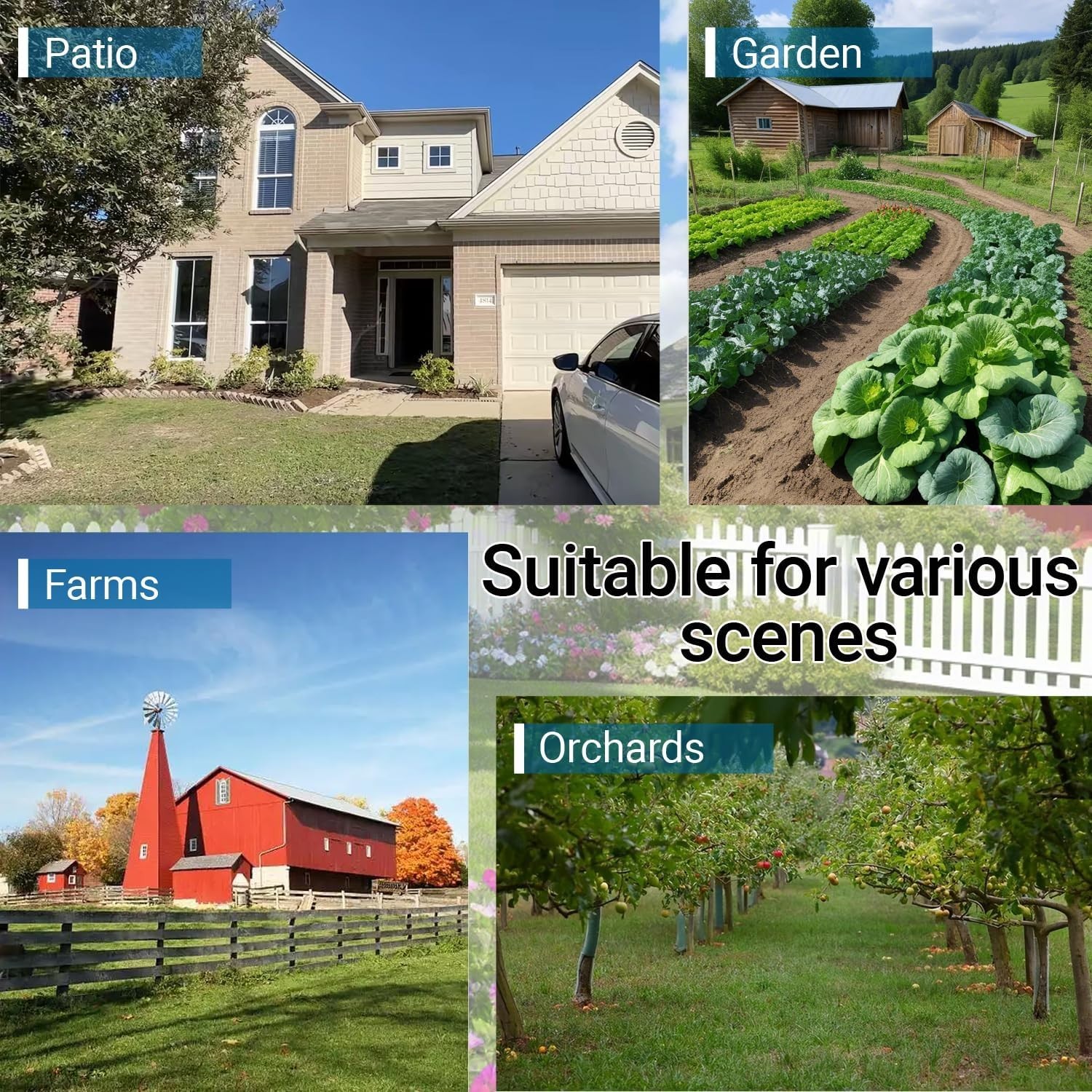 (3 Pack) Dog Proof Raccoon Traps - DP Coon Traps - Back Yard Raccoon Traps