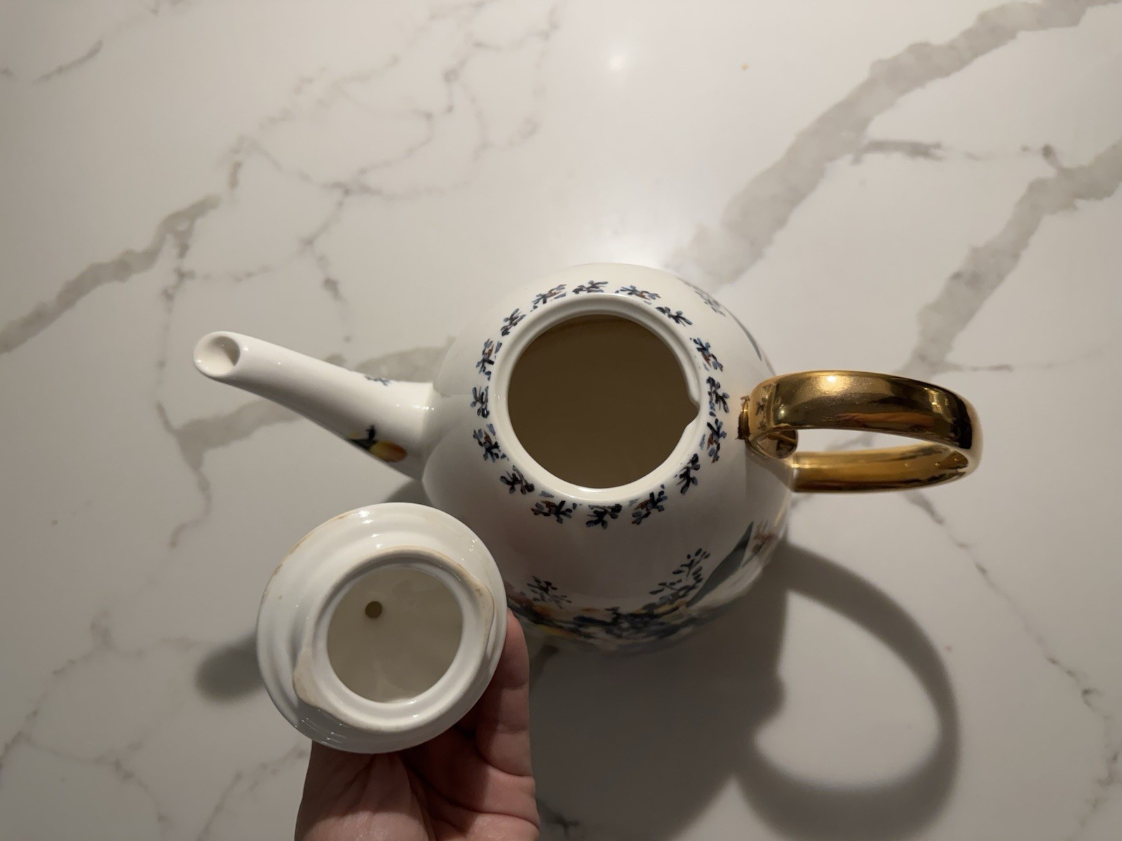 Anthropologie Botanica Teapot Floral Stoneware Afternoon Housewarming Hostess