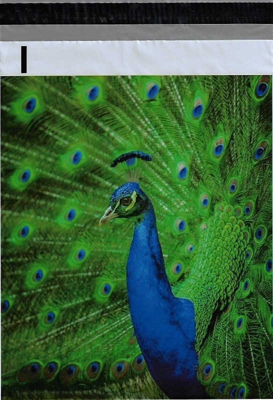 Designer Poly Mailers Envelopes Shipping Bags Packaging 10x13 12x15.5 14.5x19