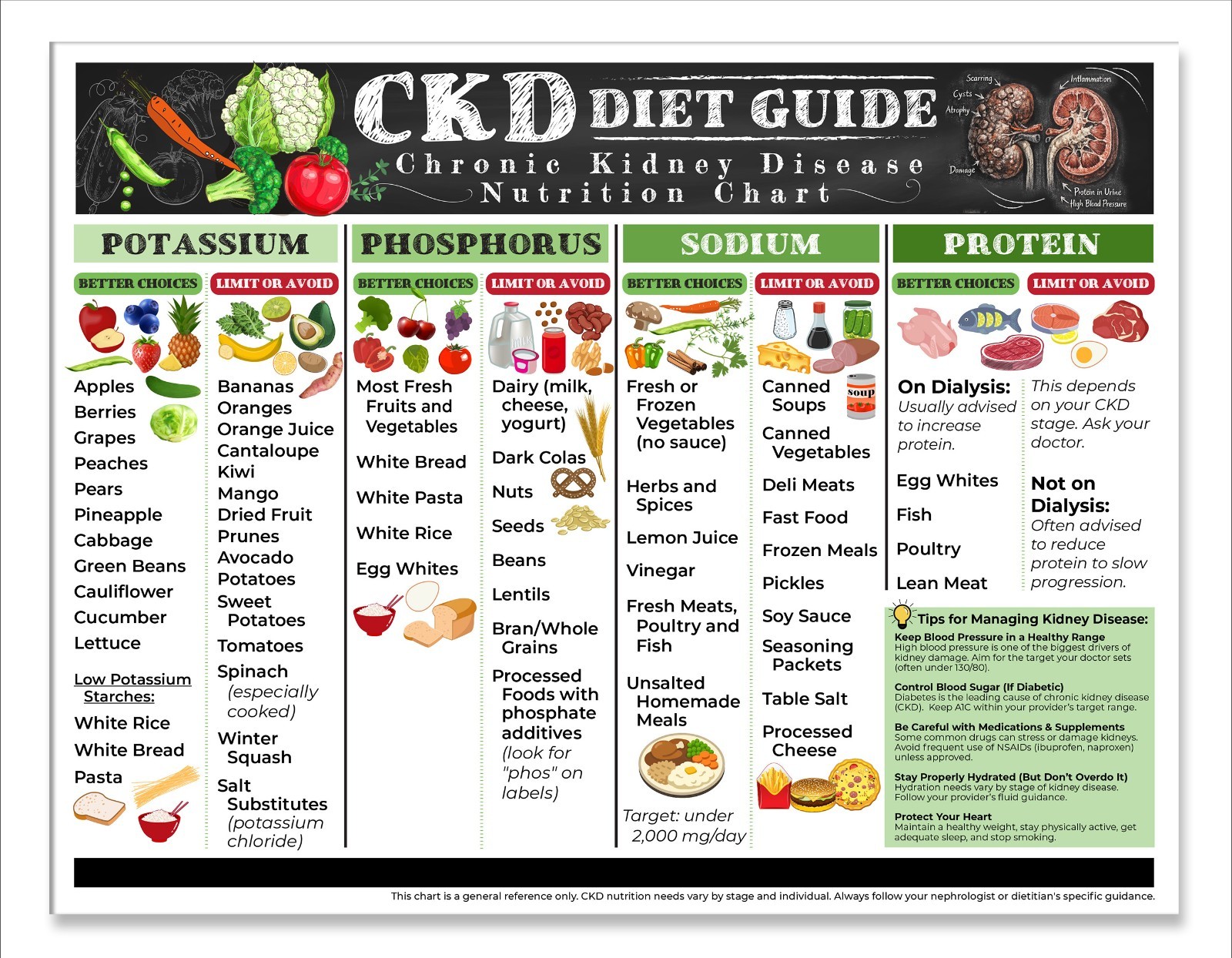 CKD Diet Guide 8.5x11 Kidney Friendly Food Chart Renal Nutrition Ref Poster Arts