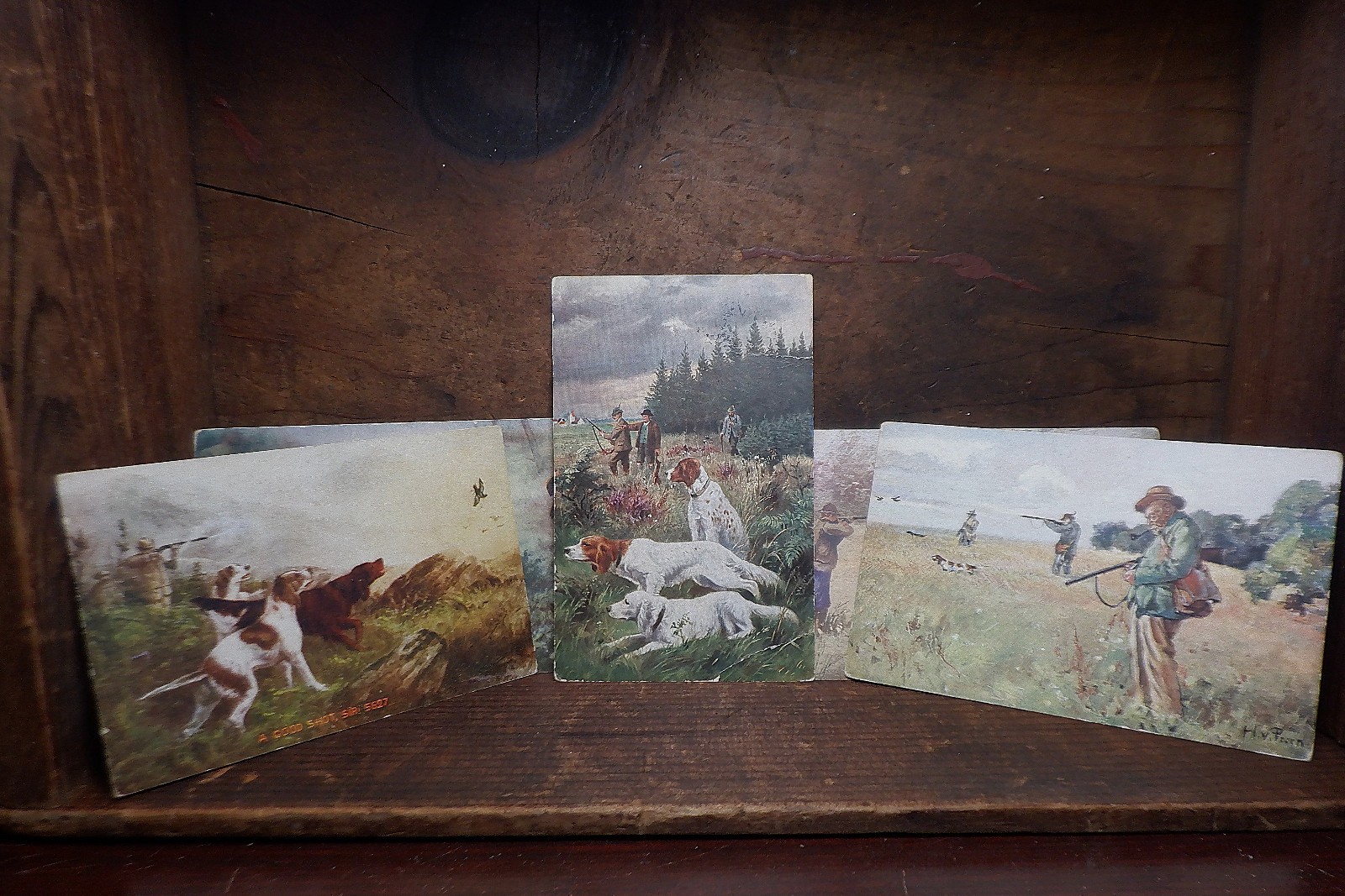 5 Antique HUNTING DOGS w/Hunter Postcards - English/Irish Setter Gun Bird Dogs