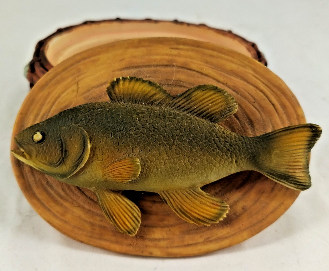 Dezine Hand Painted Trinket Box Fish Perch Real Rattlesnake Rattler Inside B2