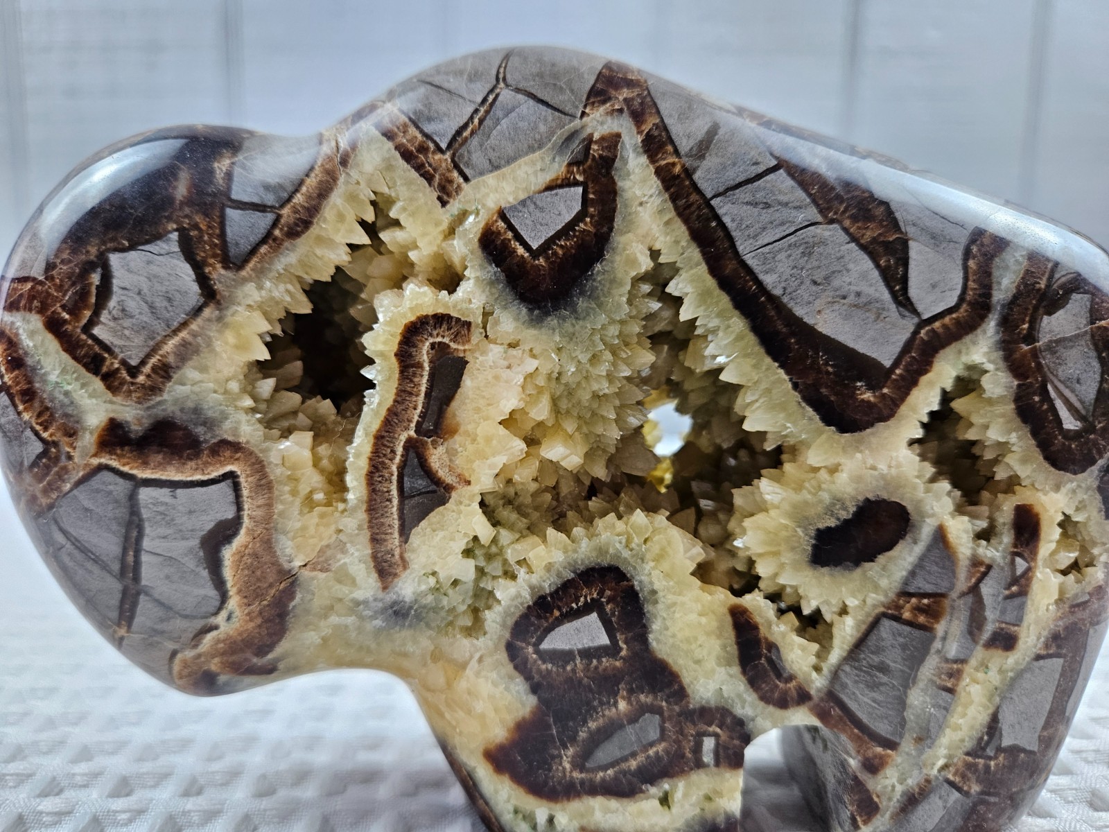 Septarian Nodule Geode Buffalo Bison Carved Natural Stone Crystal Zuni Decor 6"