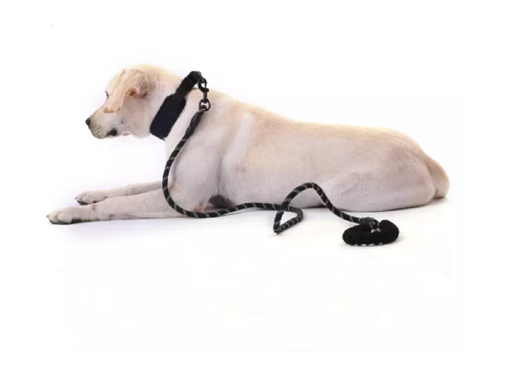 5 FT Dog Rope Leash - Reflective Nylon Lead, Training Padded Handle for Puppies