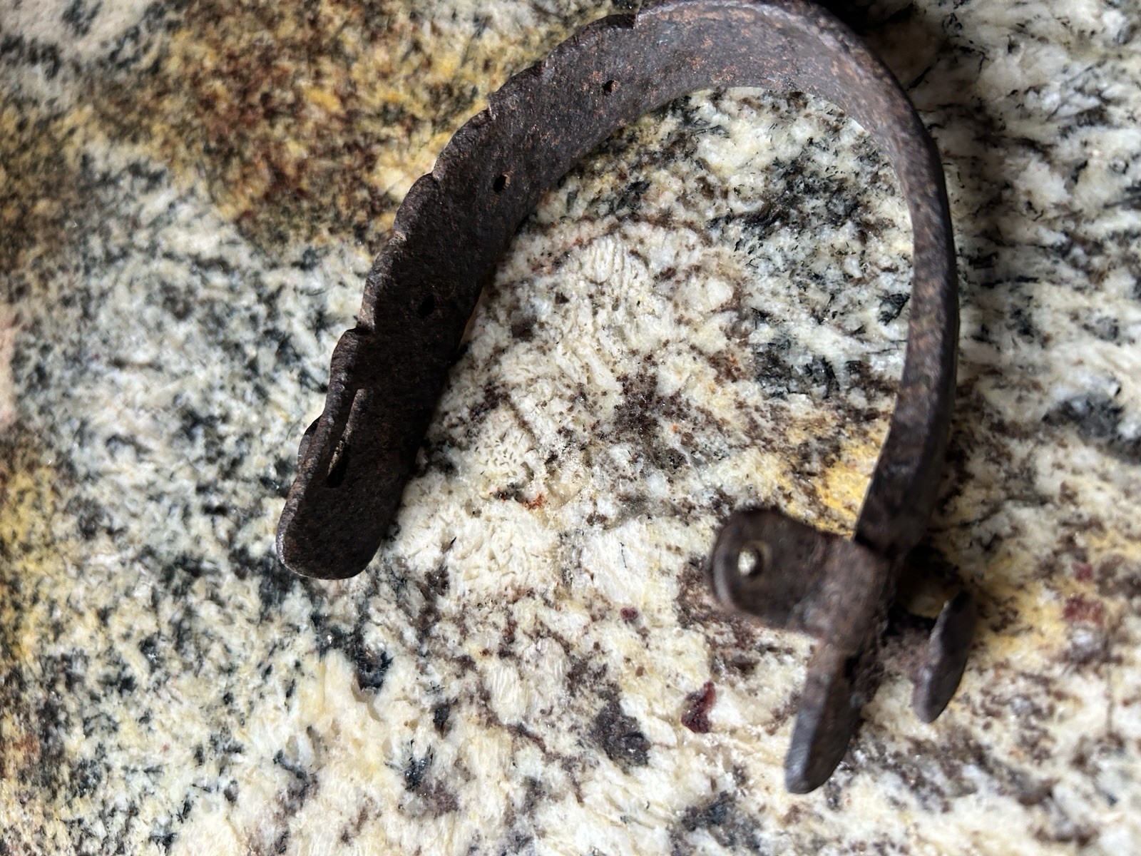 Western Type Spur with 8 Point Rowel