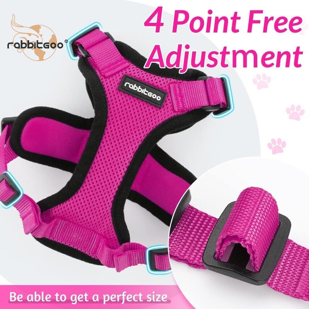 rabbitgoo Cat Harness & Leash Escape Proof Adjustable Vest Reflective Breathable