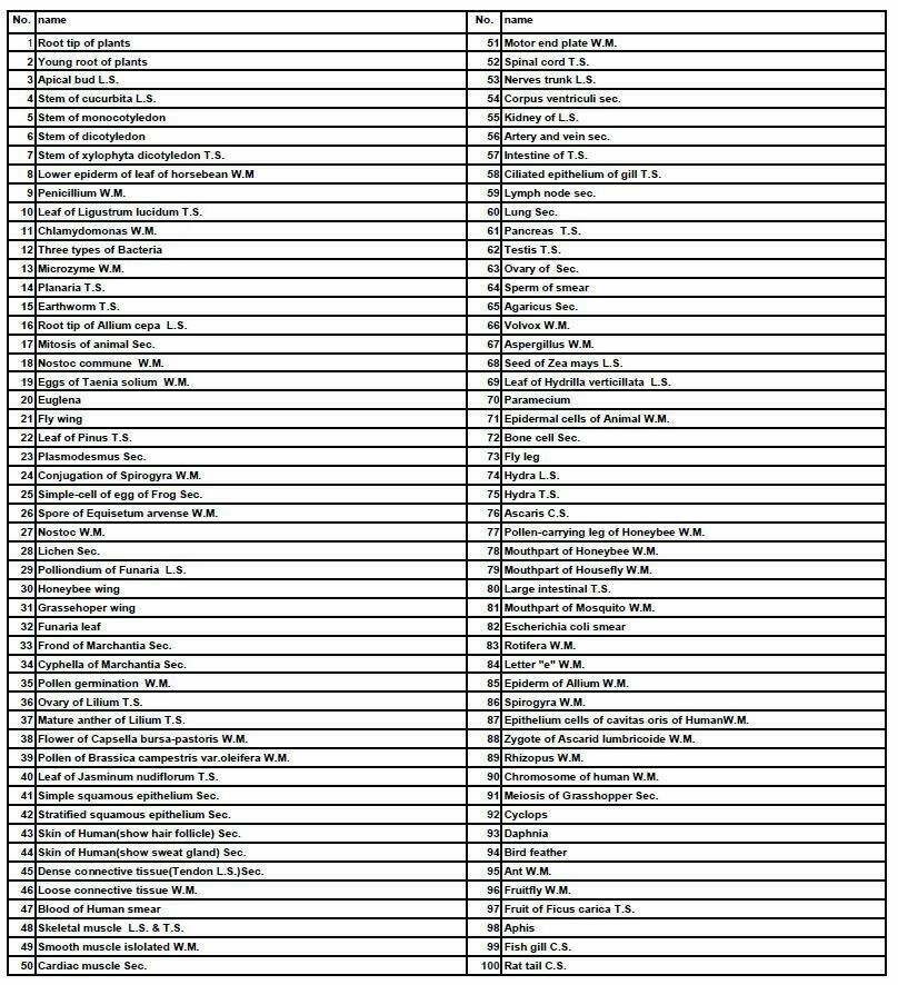 100pc Professional Glass Slice Prepared Microscope Slides Educational Specimen