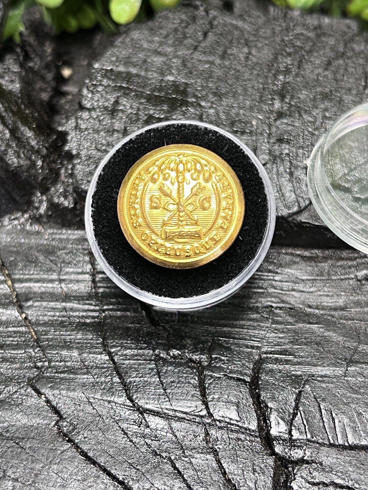 Old Rare Vintage Antique War Relic South Carolina Button Free Display Case