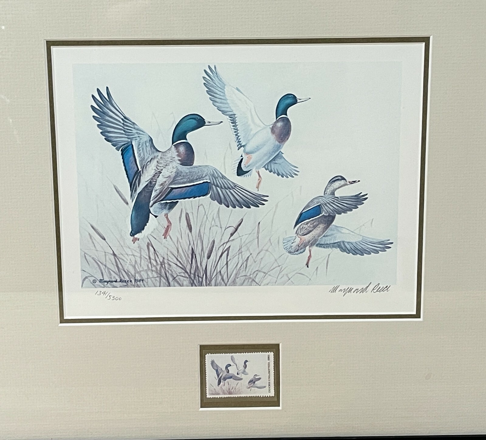 1985 Ducks Unlimited Duck Wildlife Conservation Print **MAYNARD REECE**
