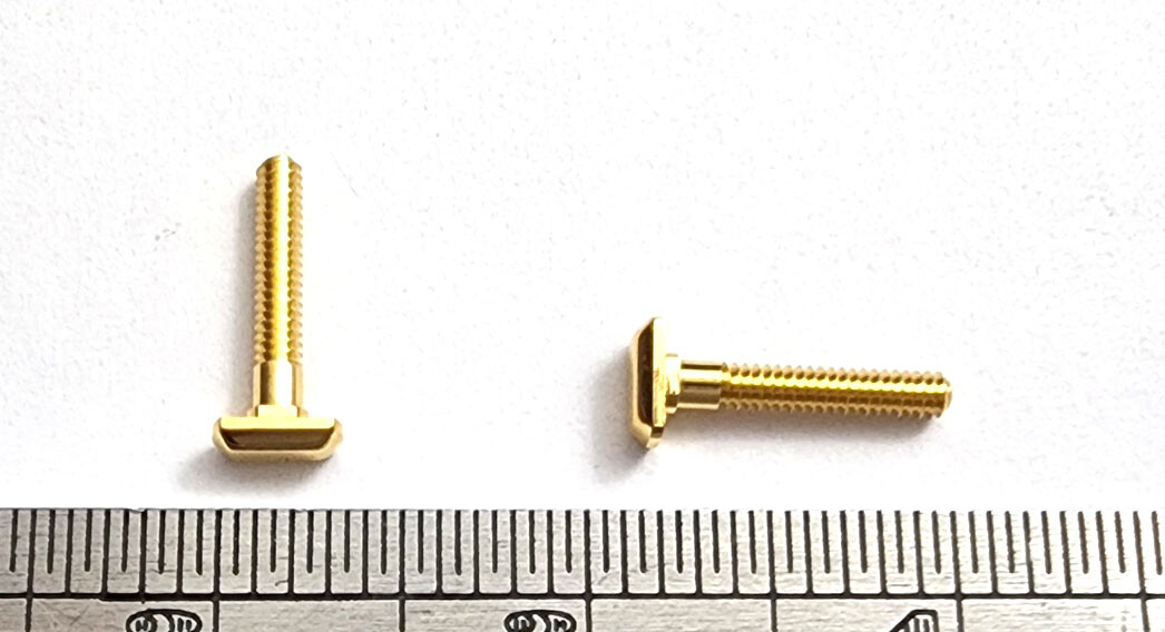 NEW! Auth Curved Rectangle Cartier Screws - Silver/Gold + Free Caps/Washers
