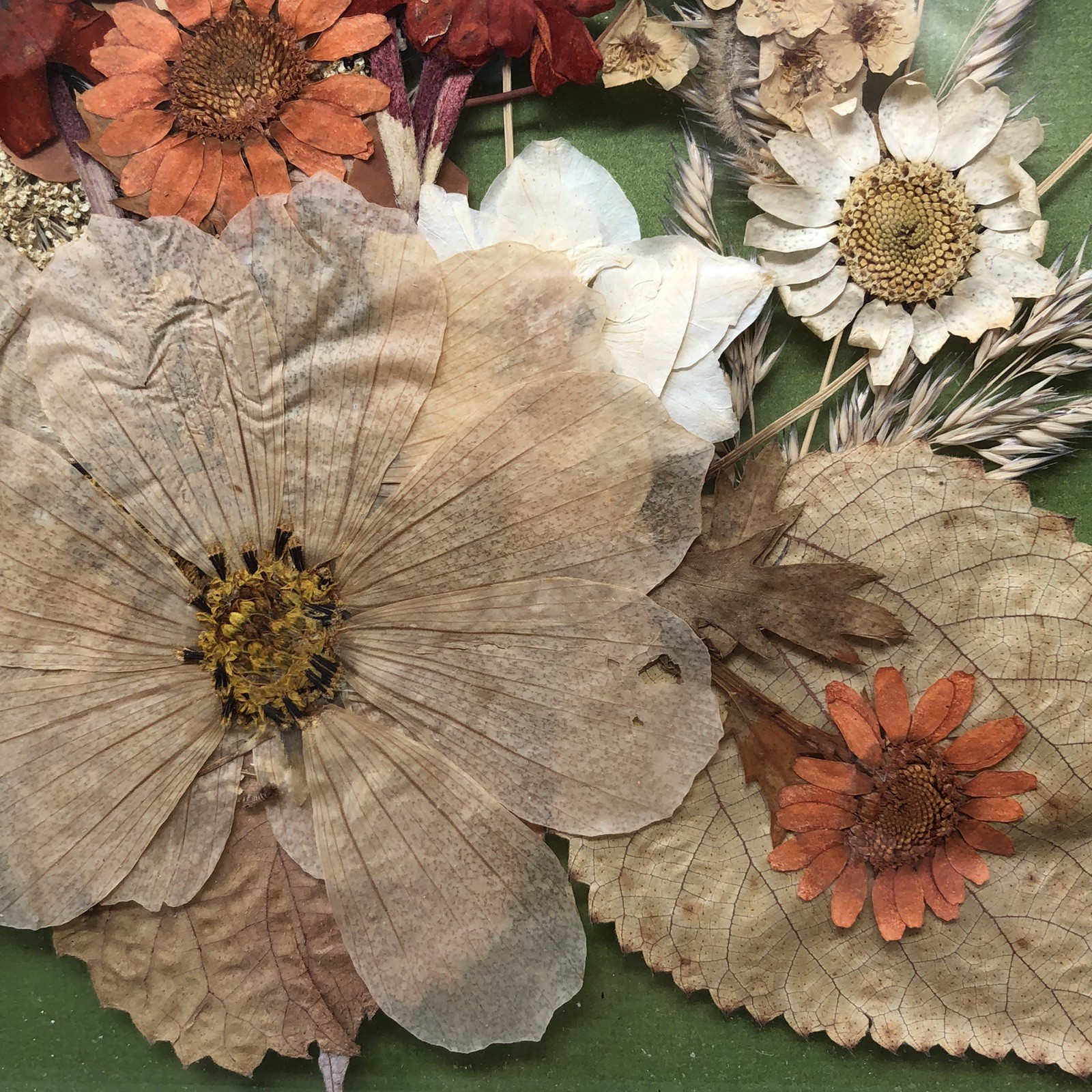 Framed Pressed Flowers Distressed Frame 10.5" x 12.5" Cottagecore Country Chic A