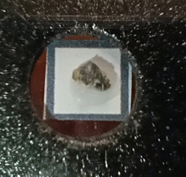 ICG Authentic Small Piece Of The Moon. Slabbed & Authenticated. Very Unique!!