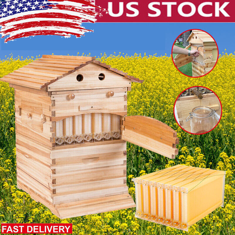 Auto Beehive 7 Frames Complete Box Kit Bee Hives Bee Frames + Beekeeping Hive