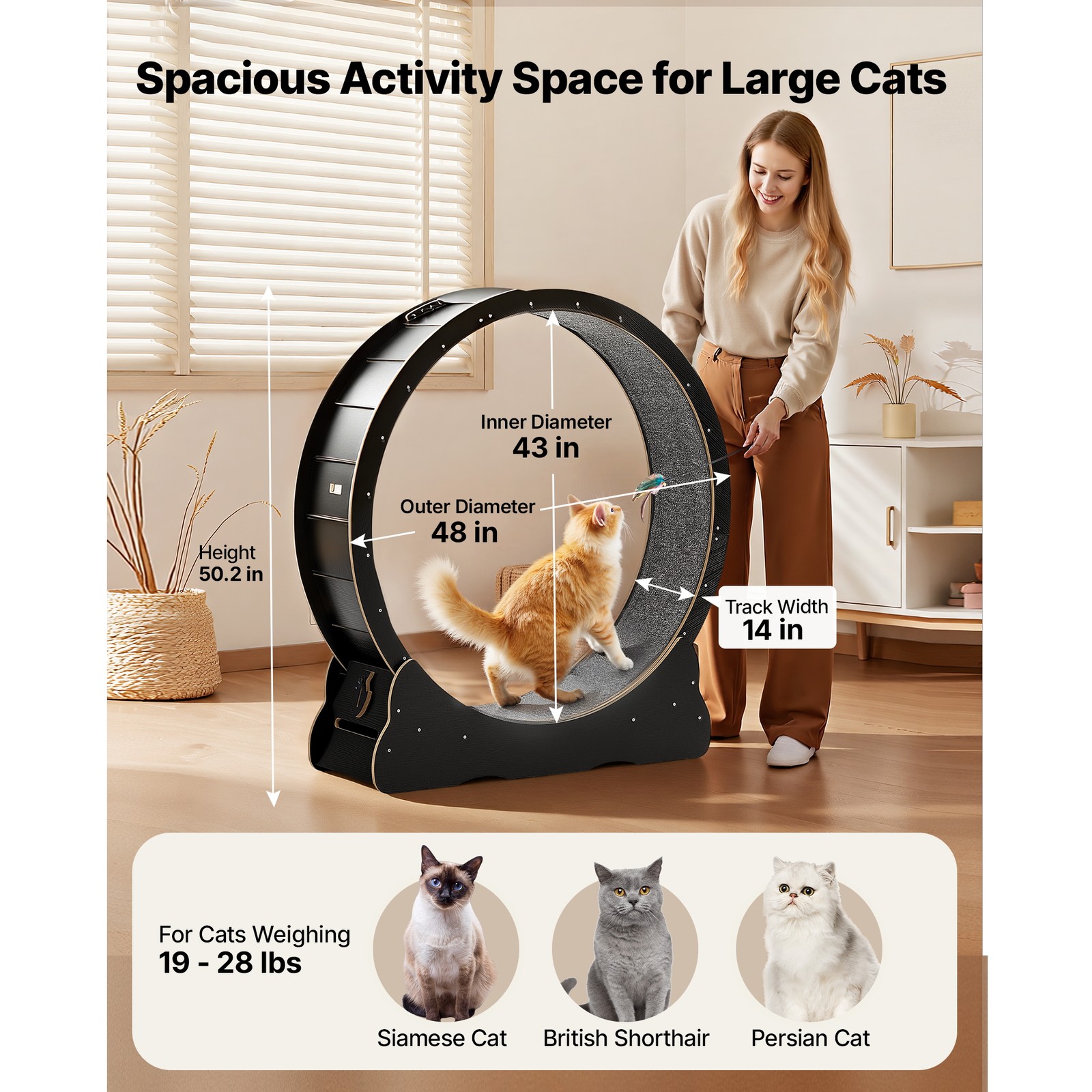 Uimoso 48in Wooden Cat Exercise Wheel with Carpeted Runway for Indoor Use