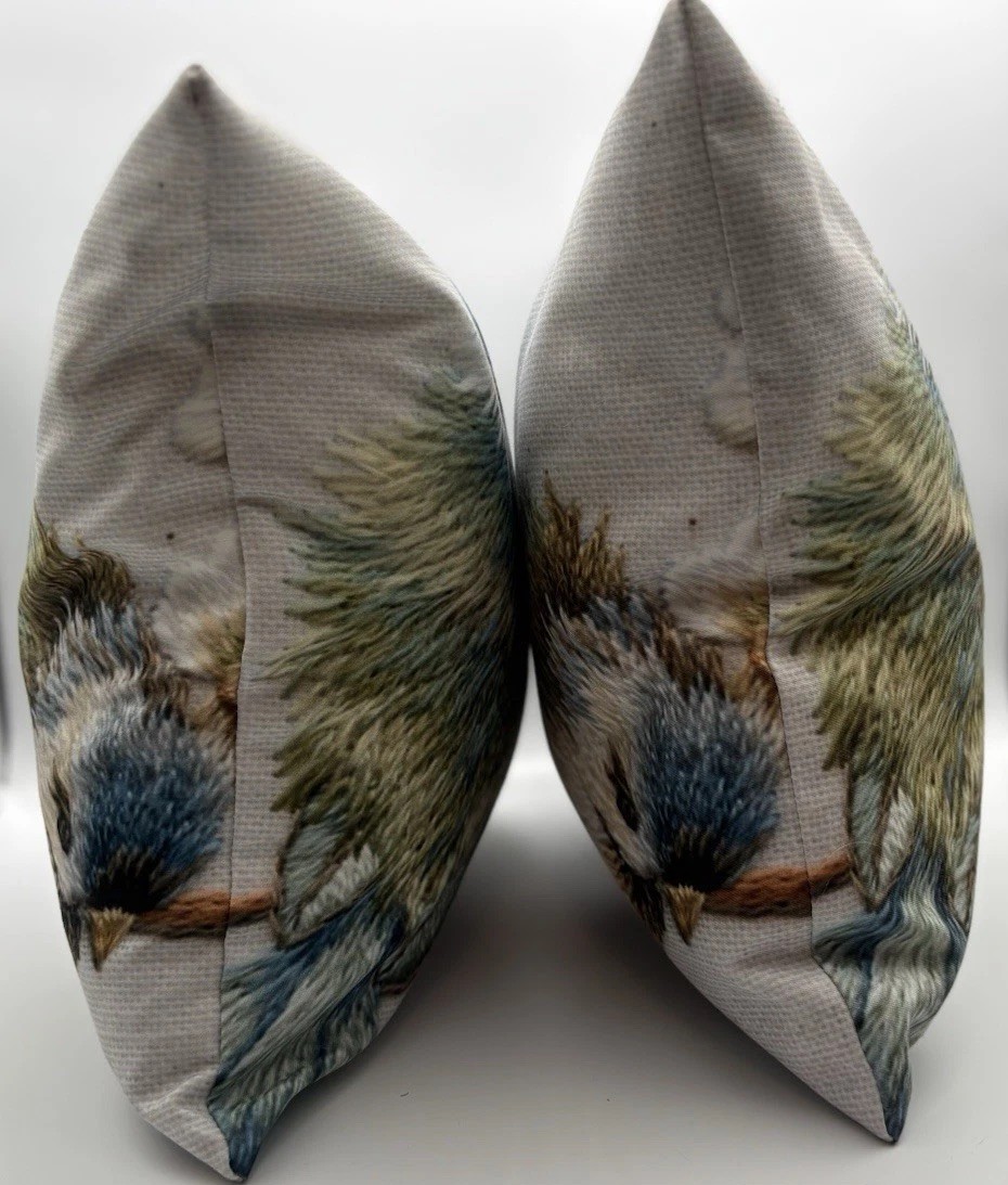 TentCraft Bird Throw Pillow Pair 14” Square Zippered Washable Covers Inserts