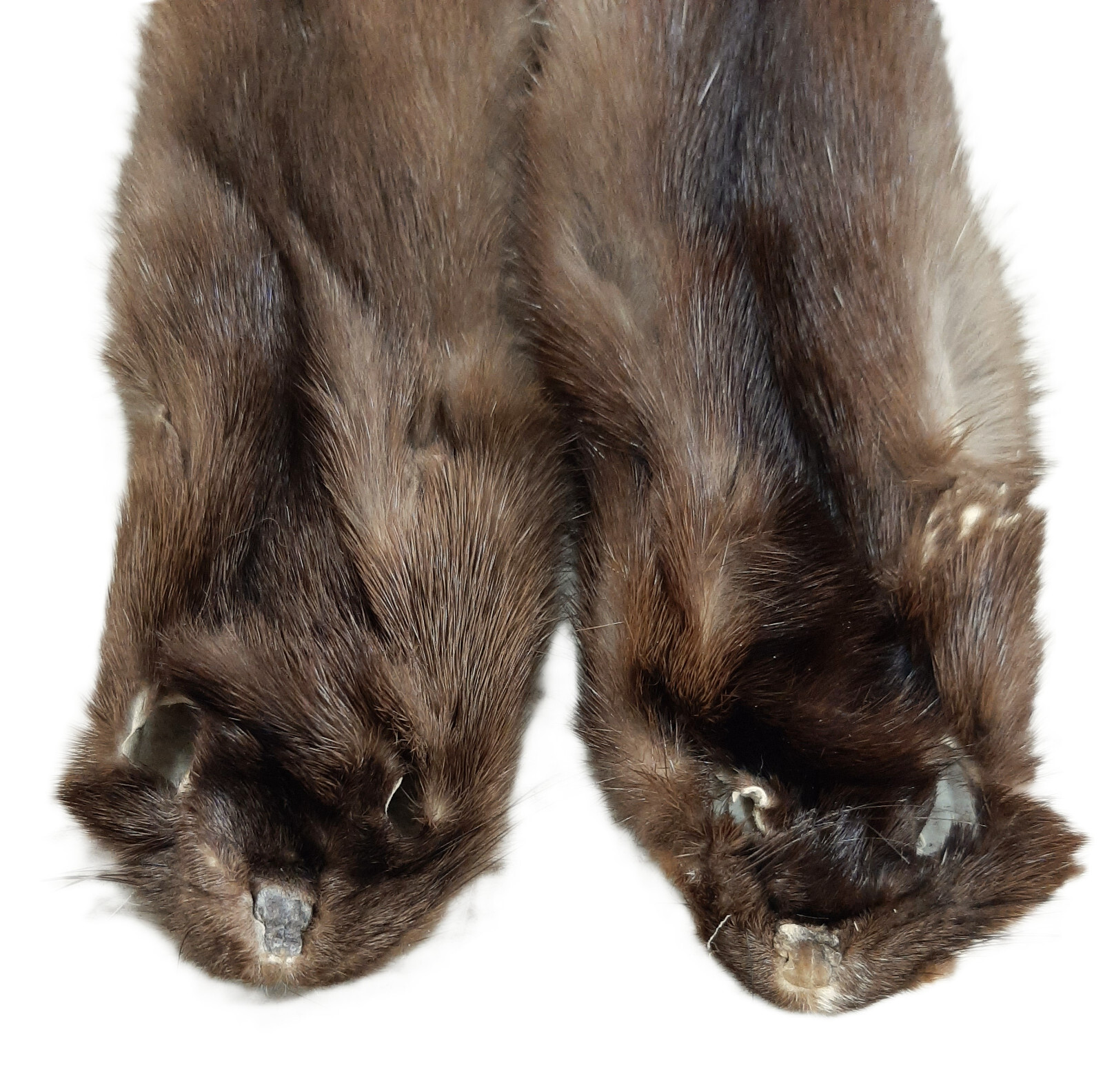 Female Wild Mink Pelt-Highly Desirable Fur