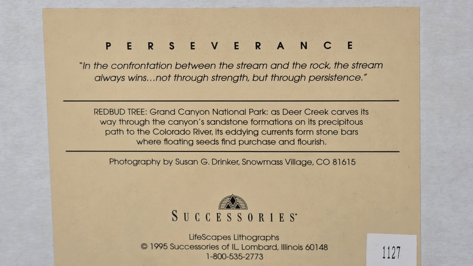 "PERSEVERANCE" Professional Framed Artwork - DECOR