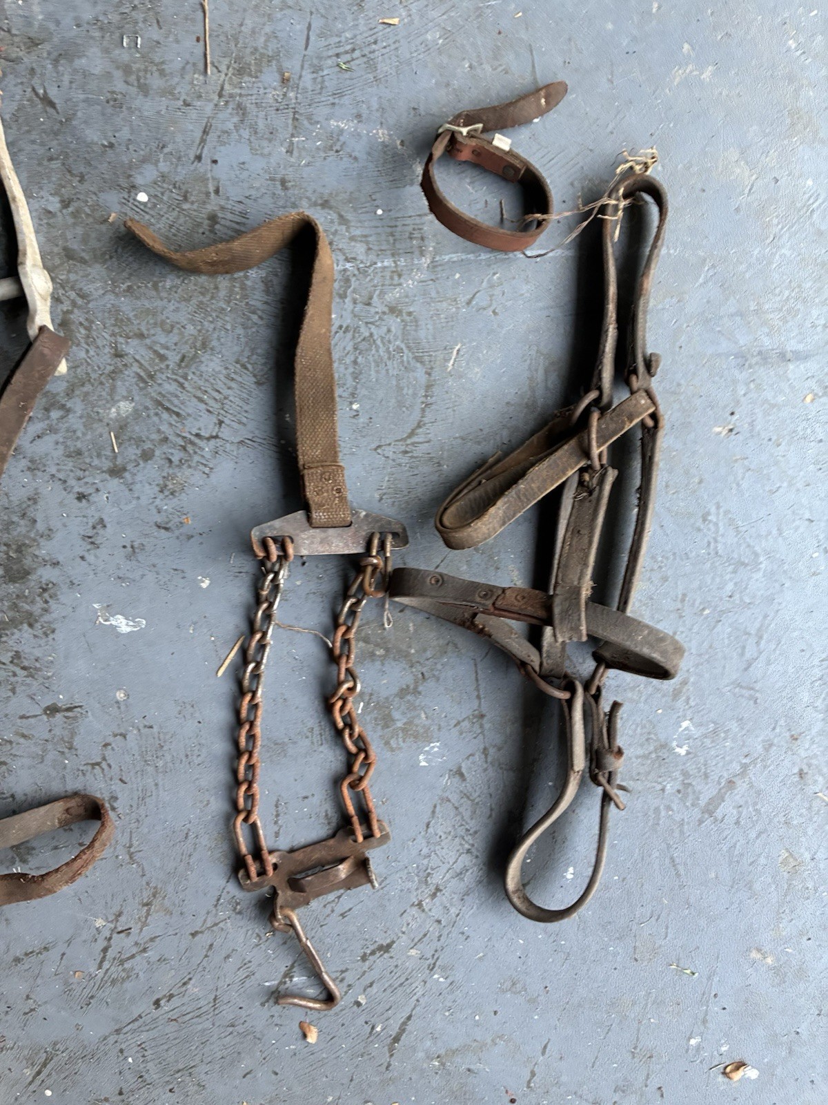 Vintage Horse Tack Blinders Bit Silester Hackamore