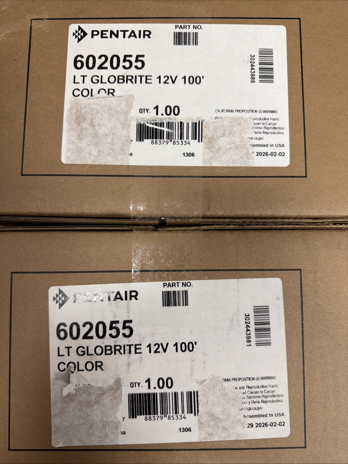 (NEW VERSION) Pentair Globrite Light 602055 Color 100ft