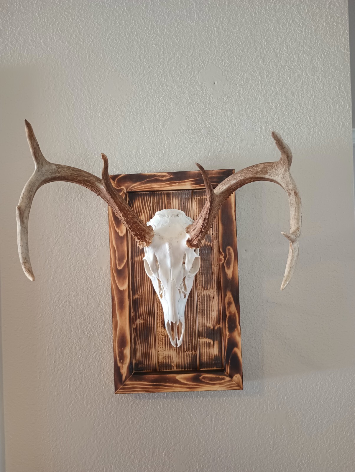 Rustic European Mount Plaque w/Hanger