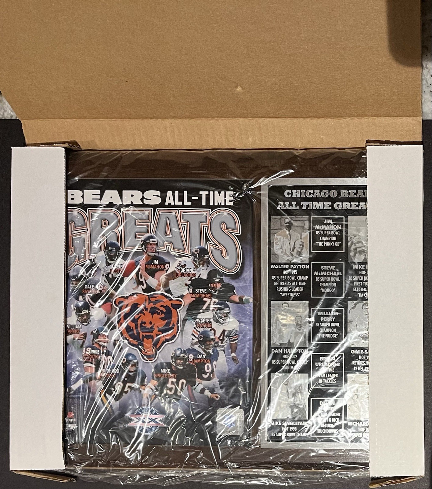Chicago Bears "All-Time Greats" Wood Plaque With 8x10 Photo NIB
