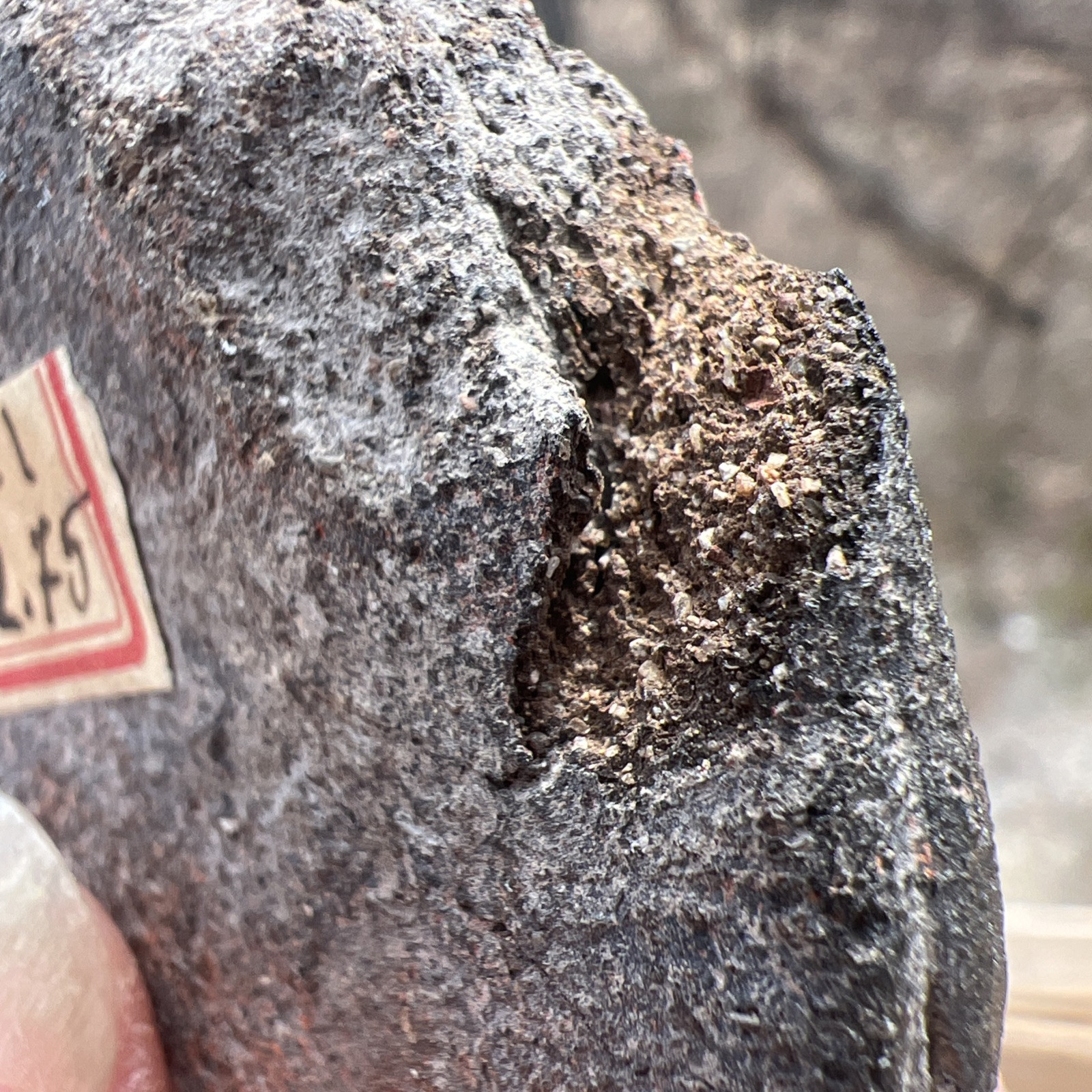 Carved STONE HEAD/EFFIGY May Be Mayan