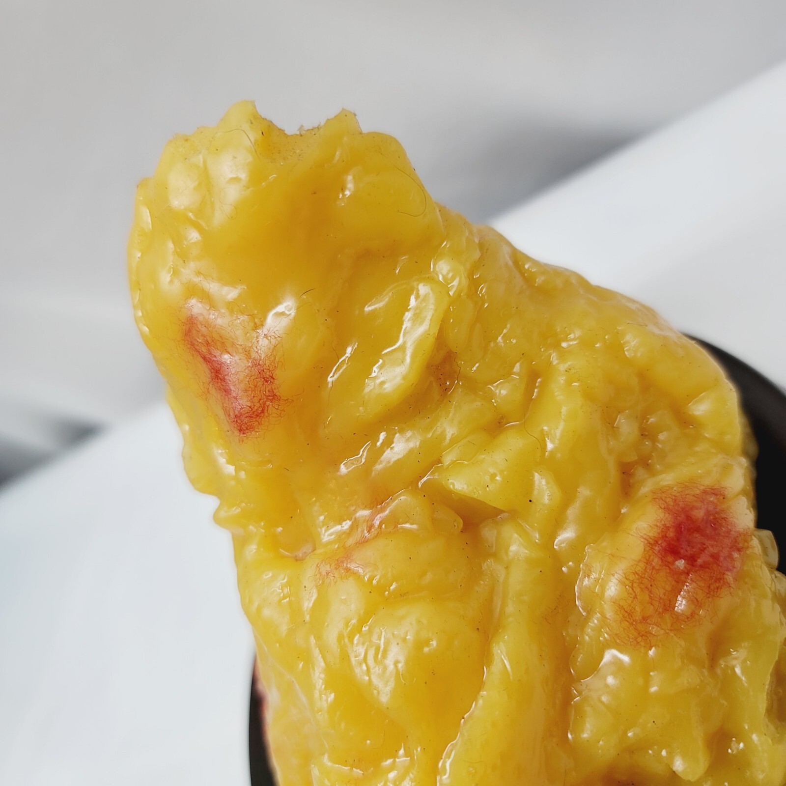 Vintage Human Adipose Tissue Replica Model Of 1lb Of Fat